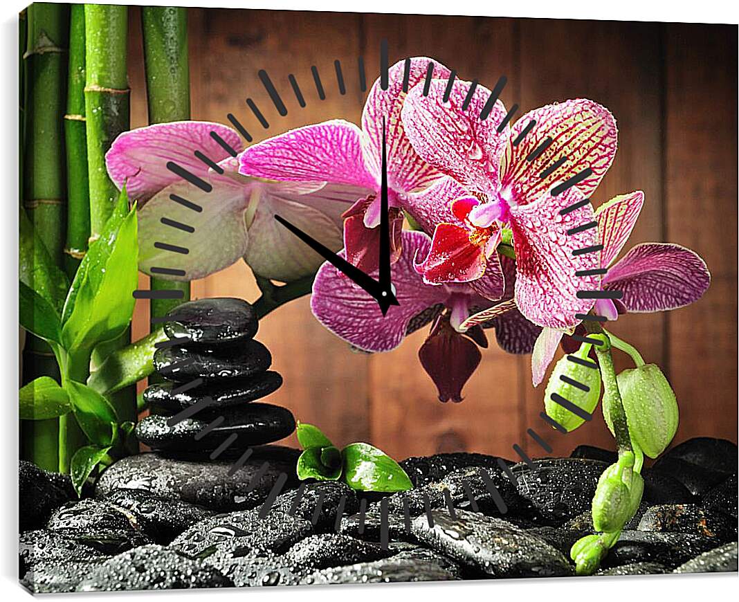 Часы картина - СПА орхидеи