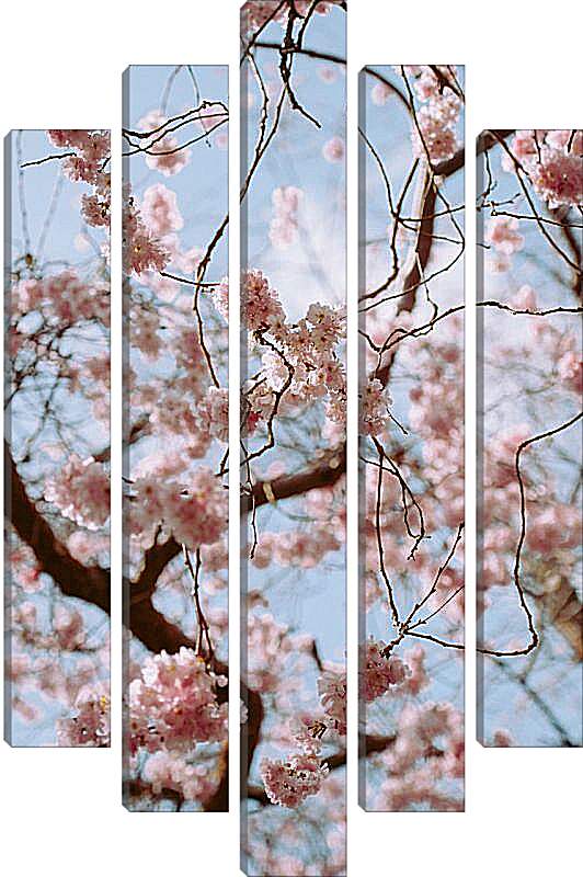 Модульная картина - Дерево Сакуры