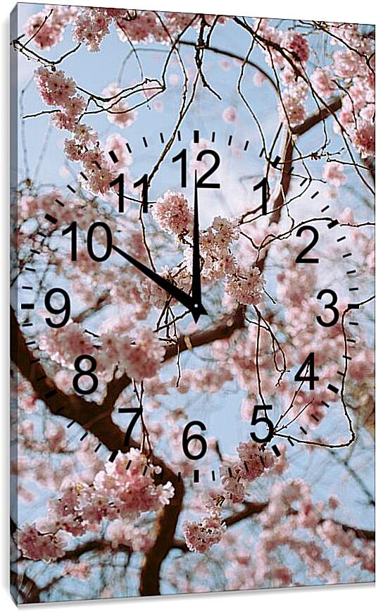 Часы картина - Дерево Сакуры