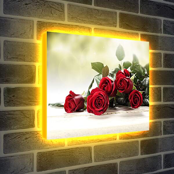 Лайтбокс световая панель - Красные розы