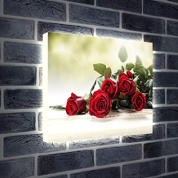 Лайтбокс световая панель - Красные розы