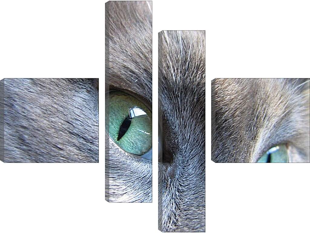 Модульная картина - Глаза кошки