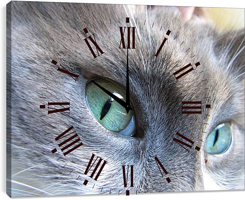 Часы картина - Глаза кошки