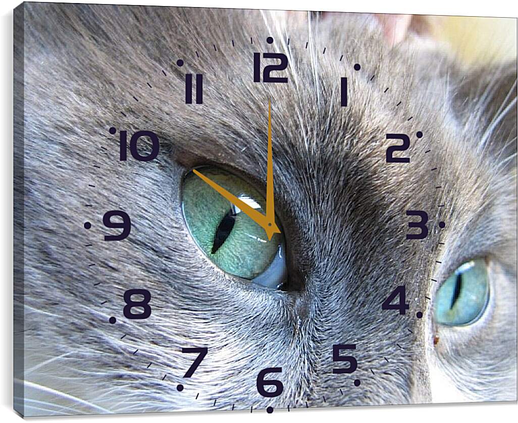 Часы картина - Глаза кошки