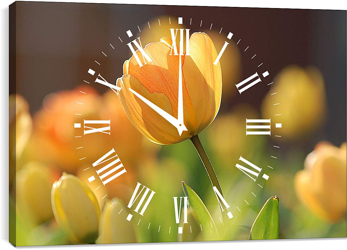 Часы картина - Оранжевые тюльпаны