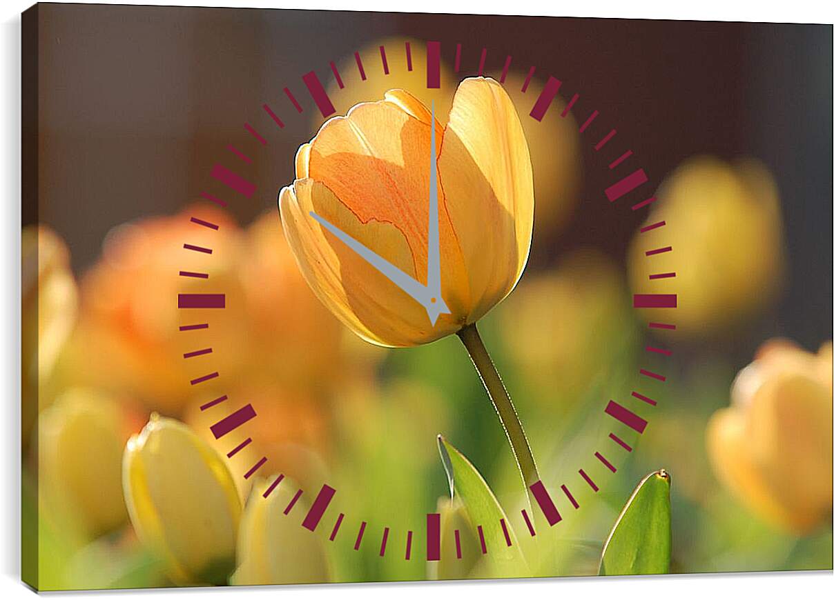 Часы картина - Оранжевые тюльпаны