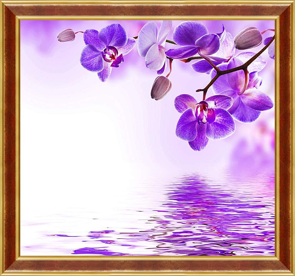 Картина в раме - Фиолетовые орхидеи