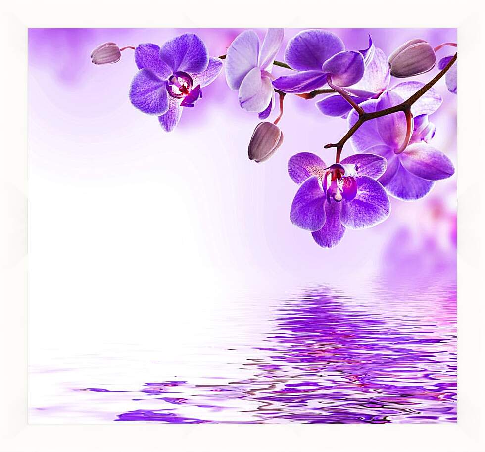 Картина в раме - Фиолетовые орхидеи