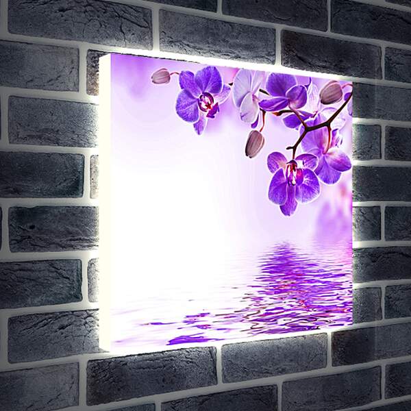 Лайтбокс световая панель - Фиолетовые орхидеи