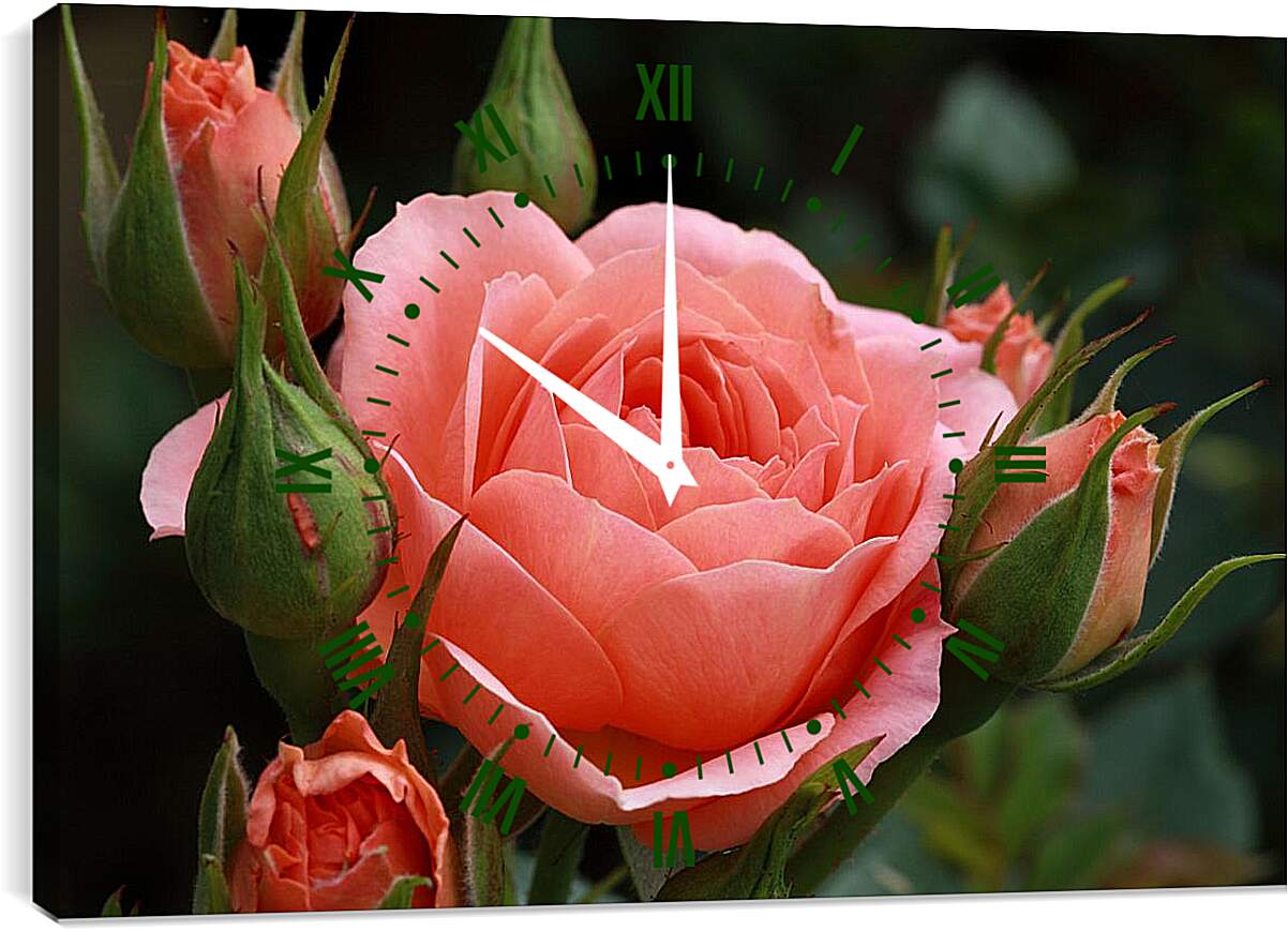 Часы картина - Розовые бутоны
