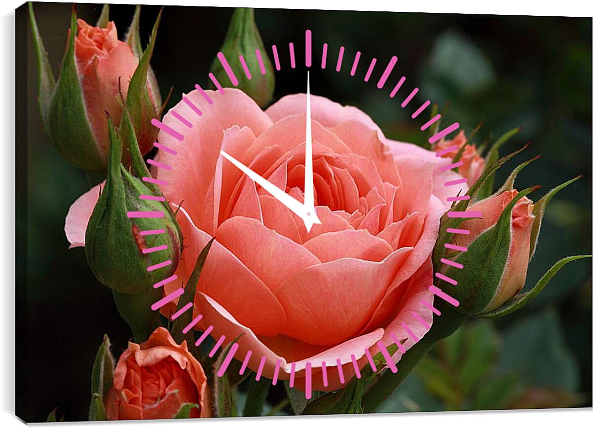 Часы картина - Розовые бутоны