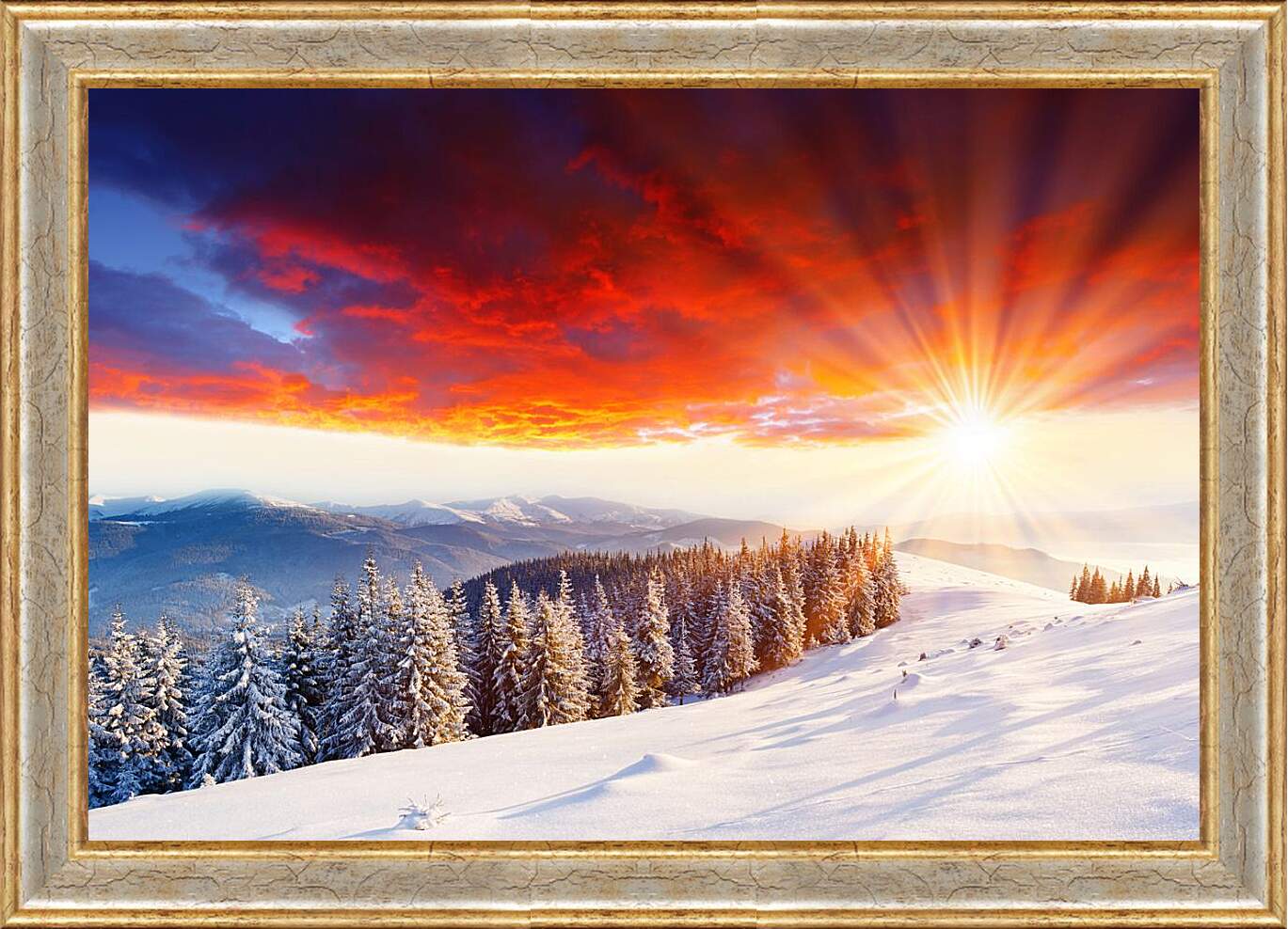 Картина в раме - Красота зимнего леса