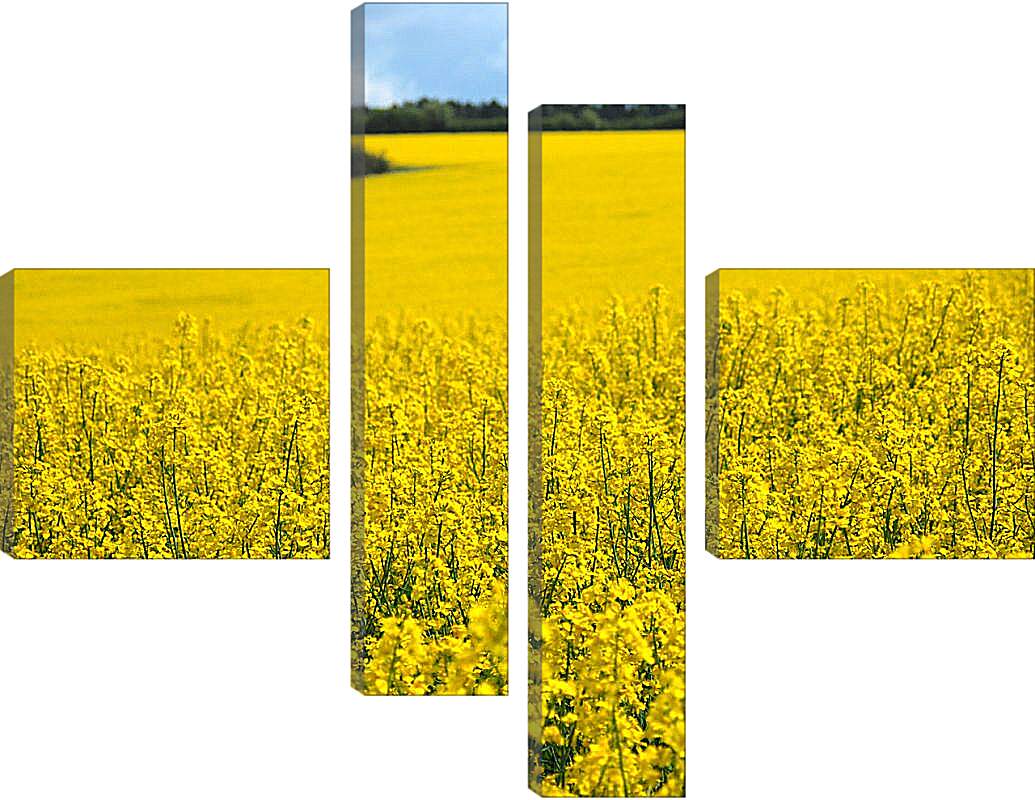 Модульная картина - Желтое поле