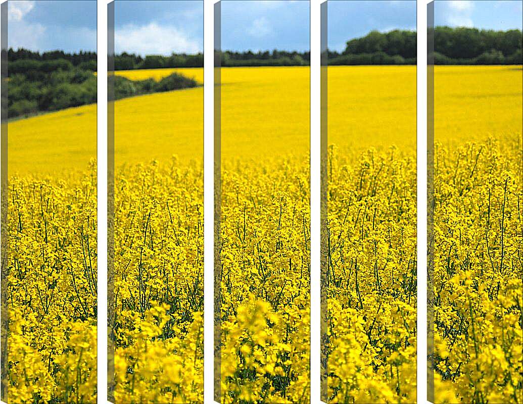 Модульная картина - Желтое поле