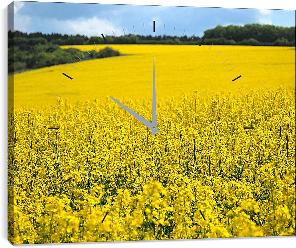 Часы картина - Желтое поле