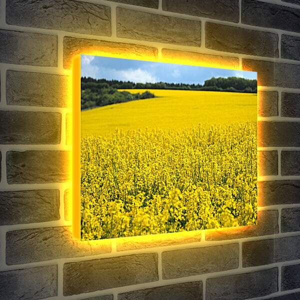 Лайтбокс световая панель - Желтое поле