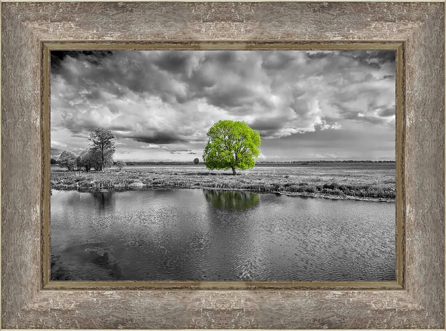 Картина в раме - Дерево у воды