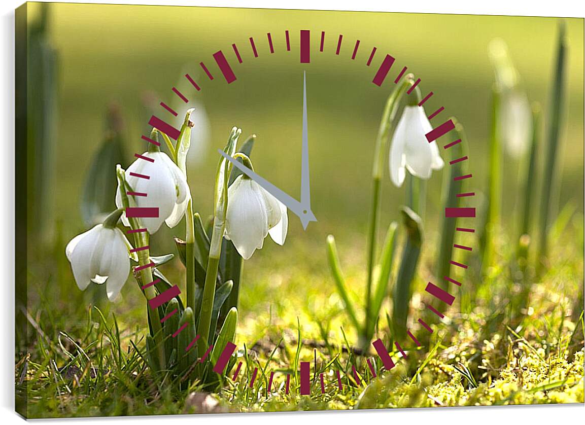Часы картина - Подснежники весной