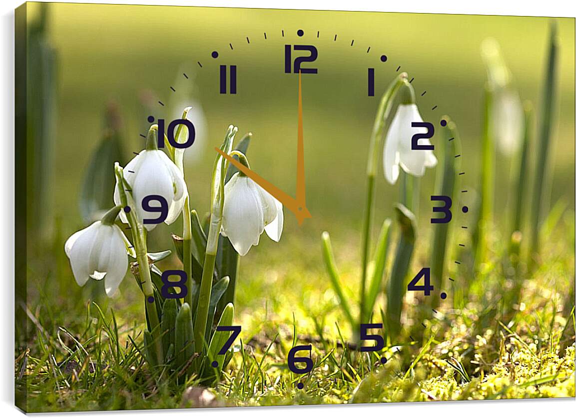 Часы картина - Подснежники весной