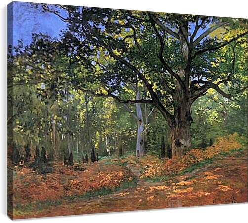 Постер и плакат - The Bodmer Oak, Fontainbleau Forest. Клод Моне
