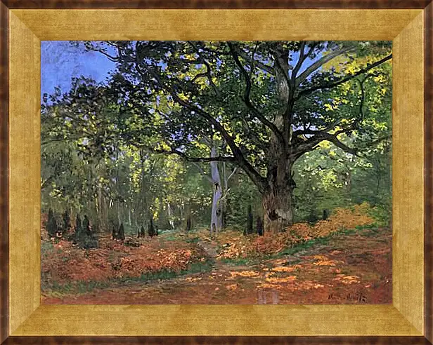 Картина в раме - The Bodmer Oak, Fontainbleau Forest. Клод Моне