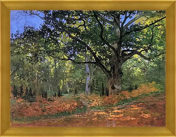 Картина в раме - The Bodmer Oak, Fontainbleau Forest. Клод Моне