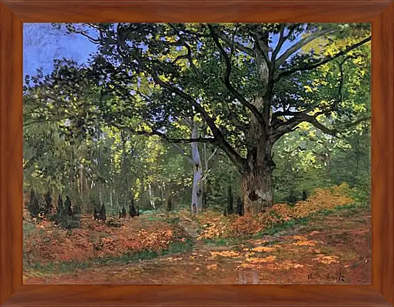 Картина в раме - The Bodmer Oak, Fontainbleau Forest. Клод Моне