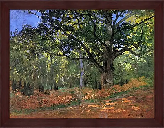 Картина в раме - The Bodmer Oak, Fontainbleau Forest. Клод Моне