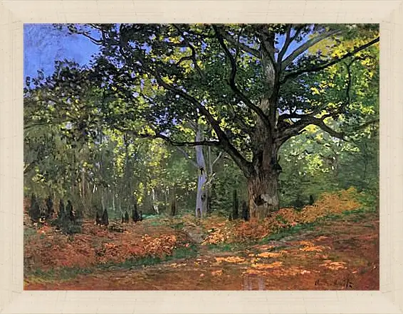 Картина в раме - The Bodmer Oak, Fontainbleau Forest. Клод Моне