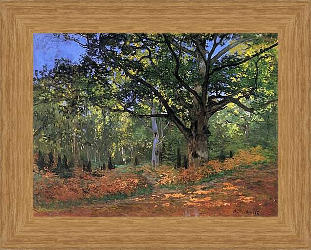 Картина в раме - The Bodmer Oak, Fontainbleau Forest. Клод Моне