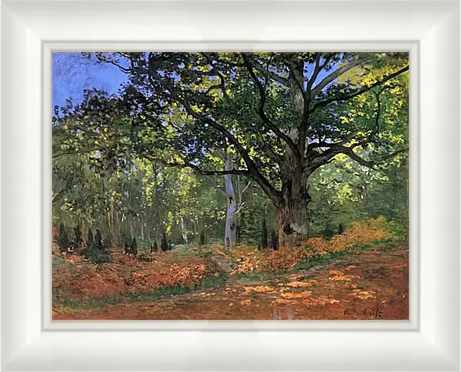 Картина в раме - The Bodmer Oak, Fontainbleau Forest. Клод Моне