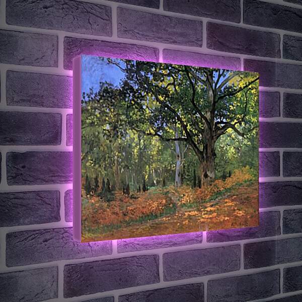 Лайтбокс световая панель - The Bodmer Oak, Fontainbleau Forest. Клод Моне