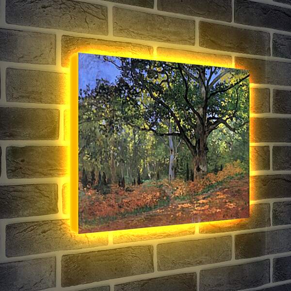 Лайтбокс световая панель - The Bodmer Oak, Fontainbleau Forest. Клод Моне