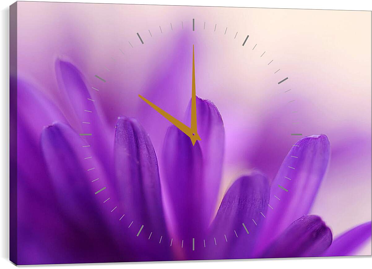 Часы картина - Лепестки цветка