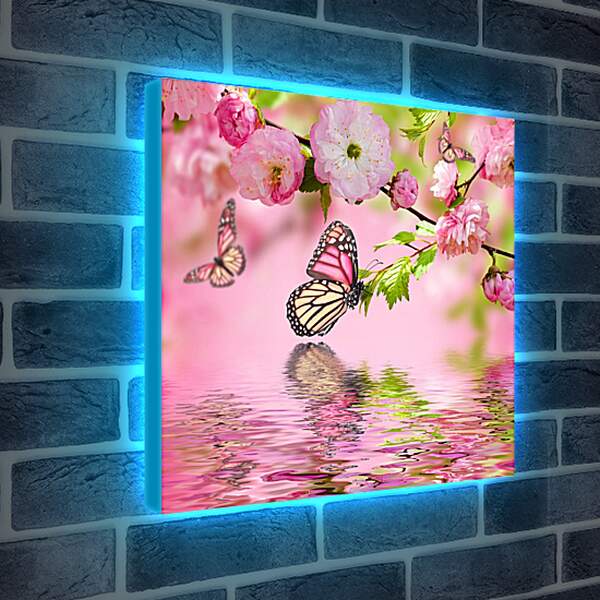 Лайтбокс световая панель - Весенние бабочки