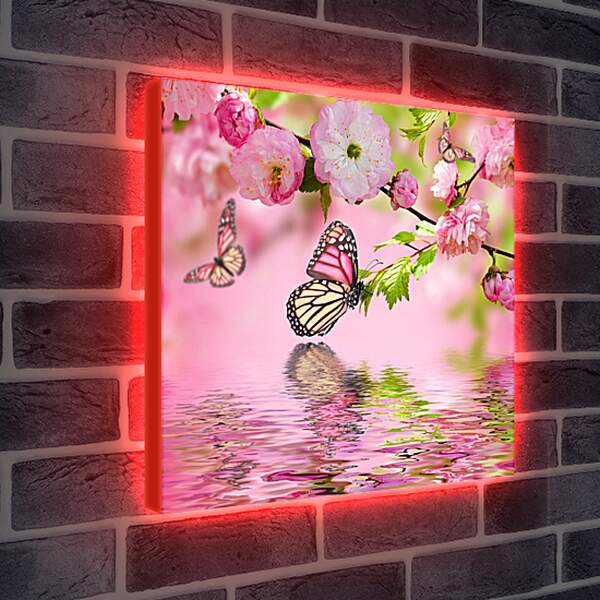 Лайтбокс световая панель - Весенние бабочки