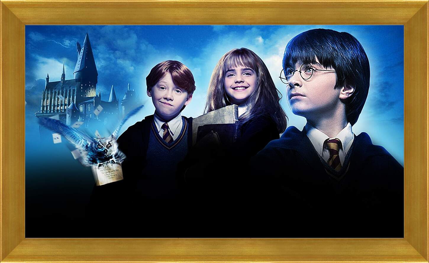 Картина в раме - Гарри Поттер и философский камень