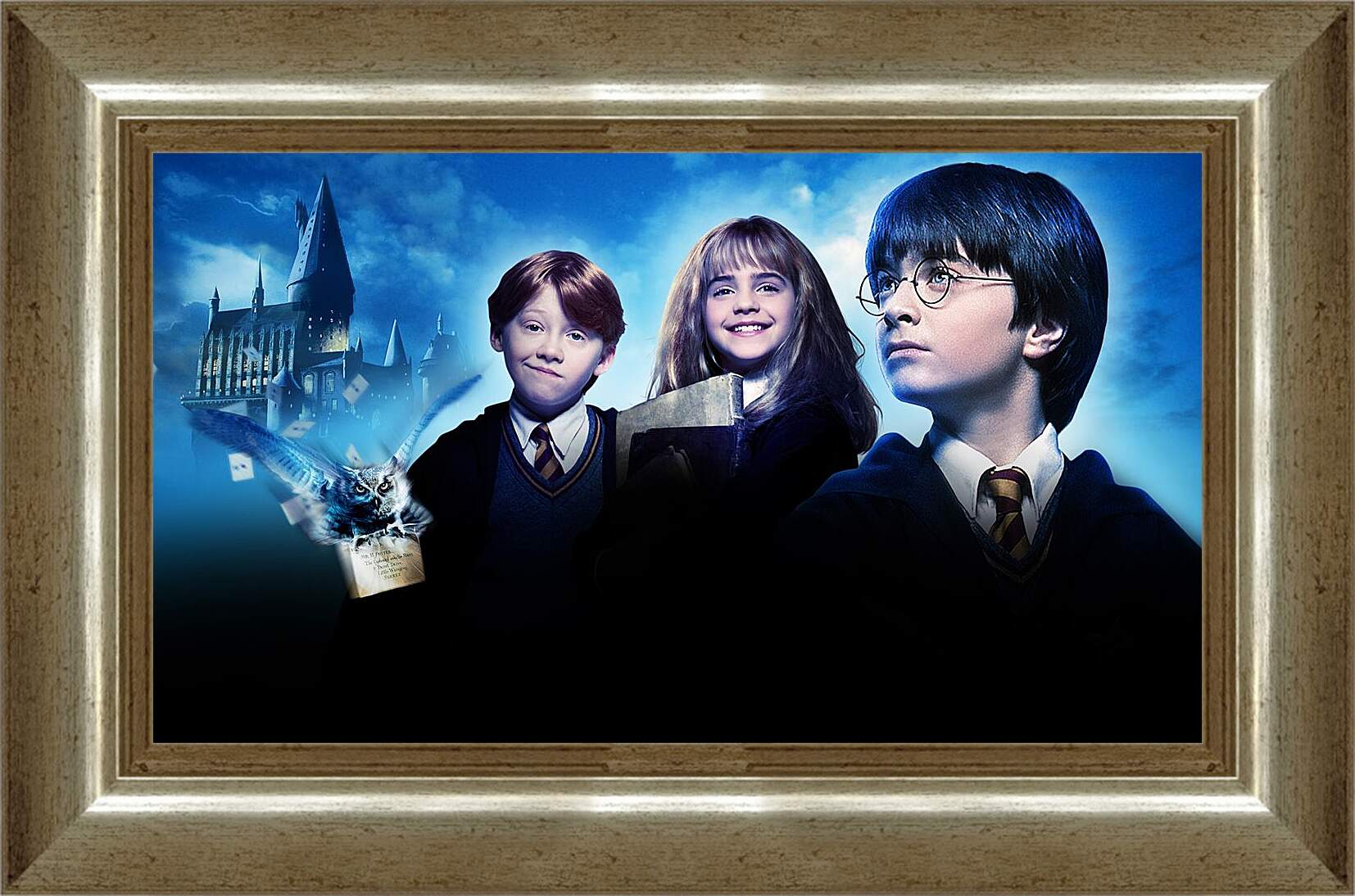 Картина в раме - Гарри Поттер и философский камень