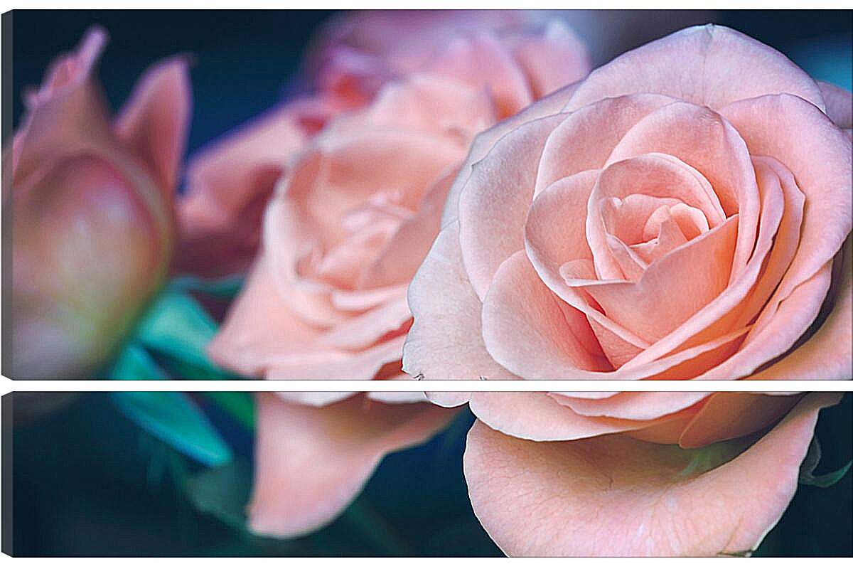 Модульная картина - Пастельные розы