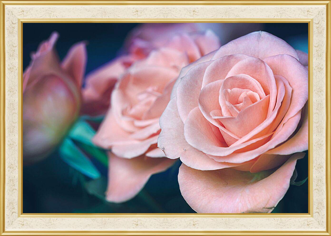 Картина в раме - Пастельные розы