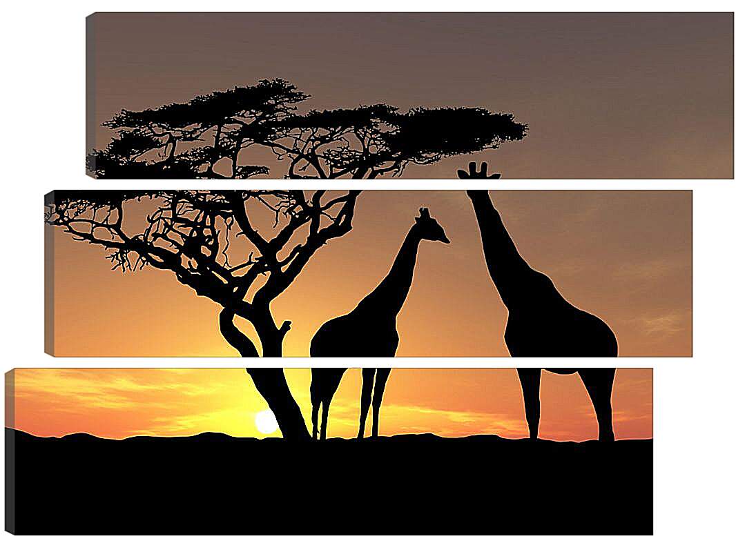 Модульная картина - Пара жирафов на закате
