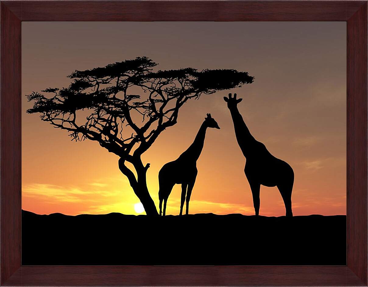 Картина в раме - Пара жирафов на закате