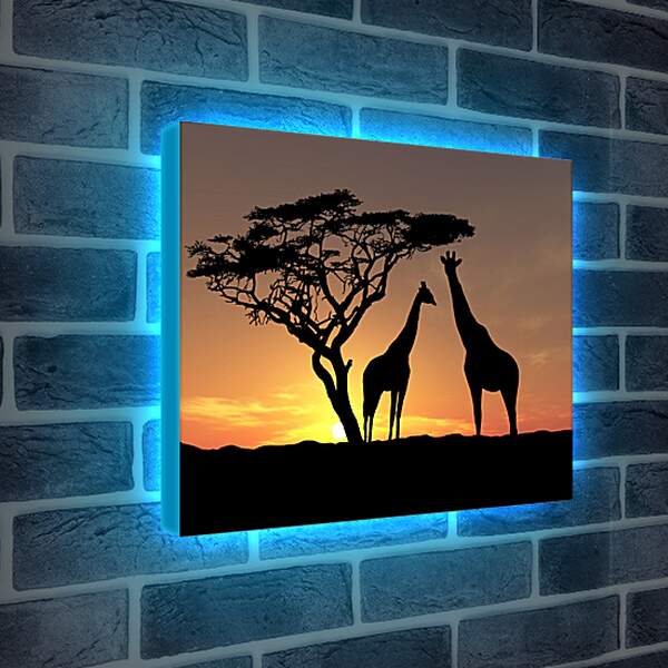 Лайтбокс световая панель - Пара жирафов на закате
