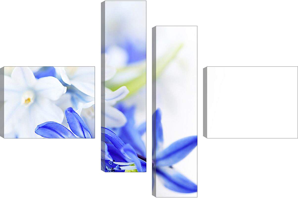 Модульная картина - Белые и синие цветы