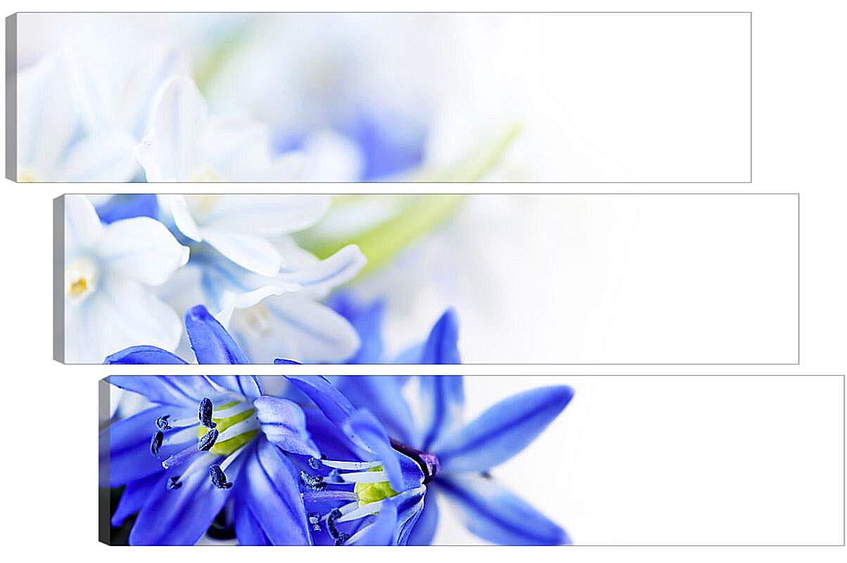 Модульная картина - Белые и синие цветы
