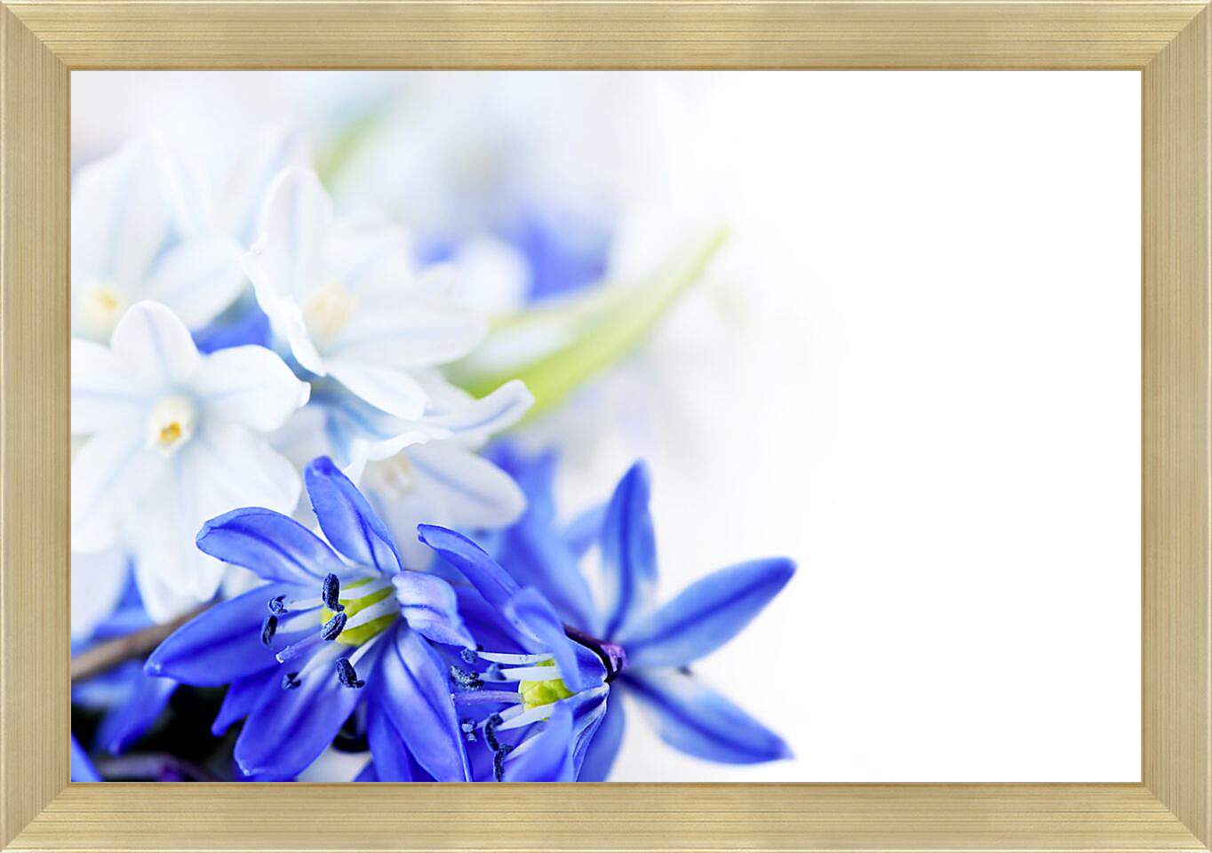 Картина в раме - Белые и синие цветы