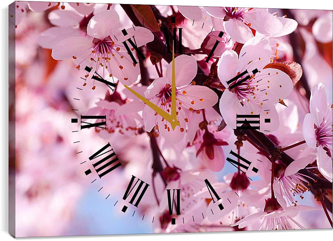 Часы картина - Вишня весной