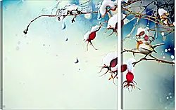 Модульная картина - Шиповник Модульная картина - Шиповник