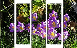 Модульная картина - Весна Модульная картина - Весна