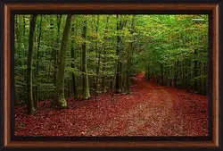 Картина в раме - Осень Картина в раме - Осень